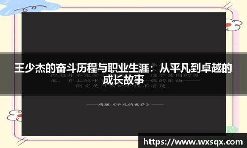 王少杰的奋斗历程与职业生涯：从平凡到卓越的成长故事